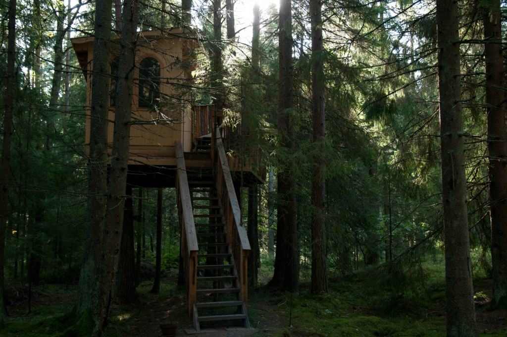 stairways to first room of our newest treehouse in our tree hotel. tree house hidden in the woods