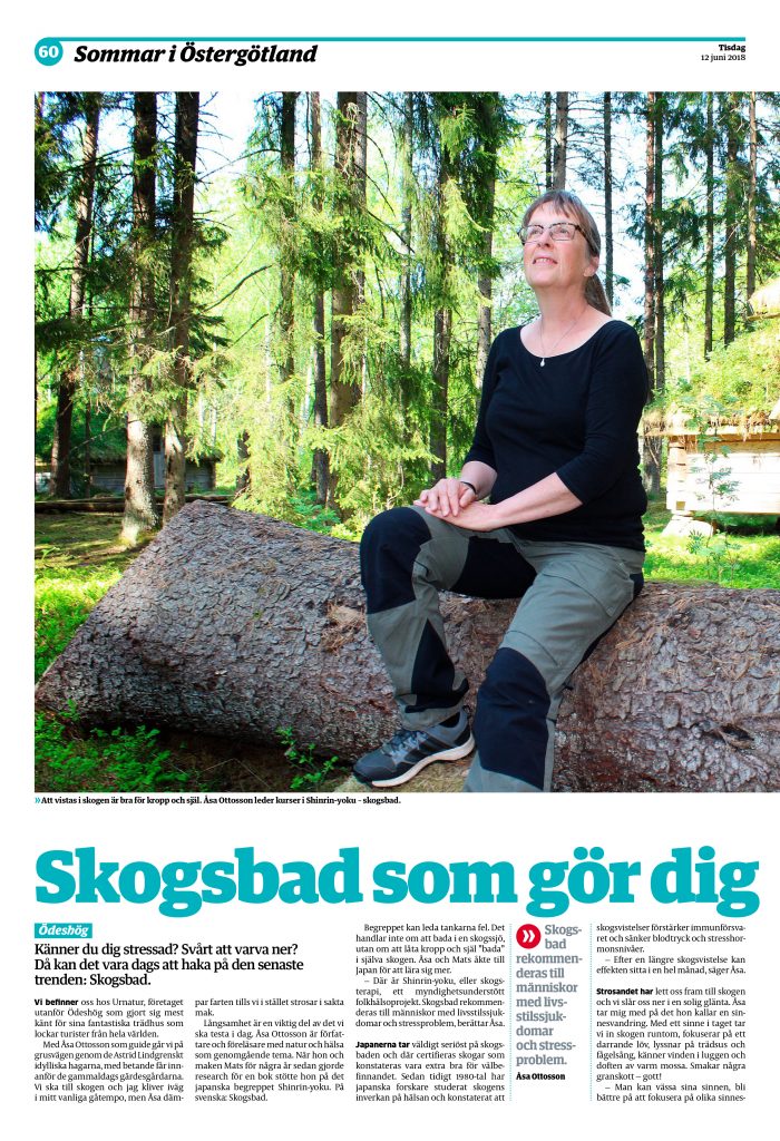 prova på skogsbad